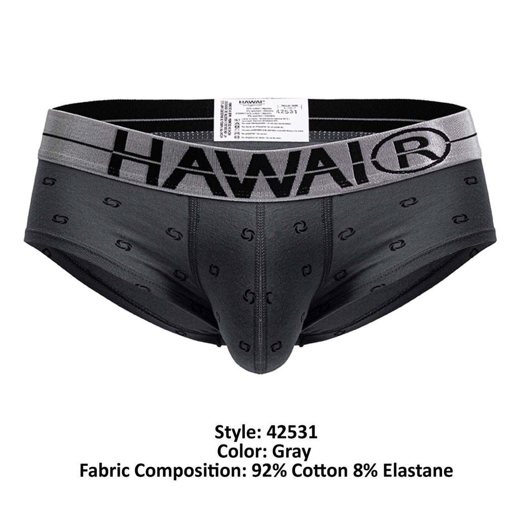 HAWAIR Cotton blend Briefs - Gray
