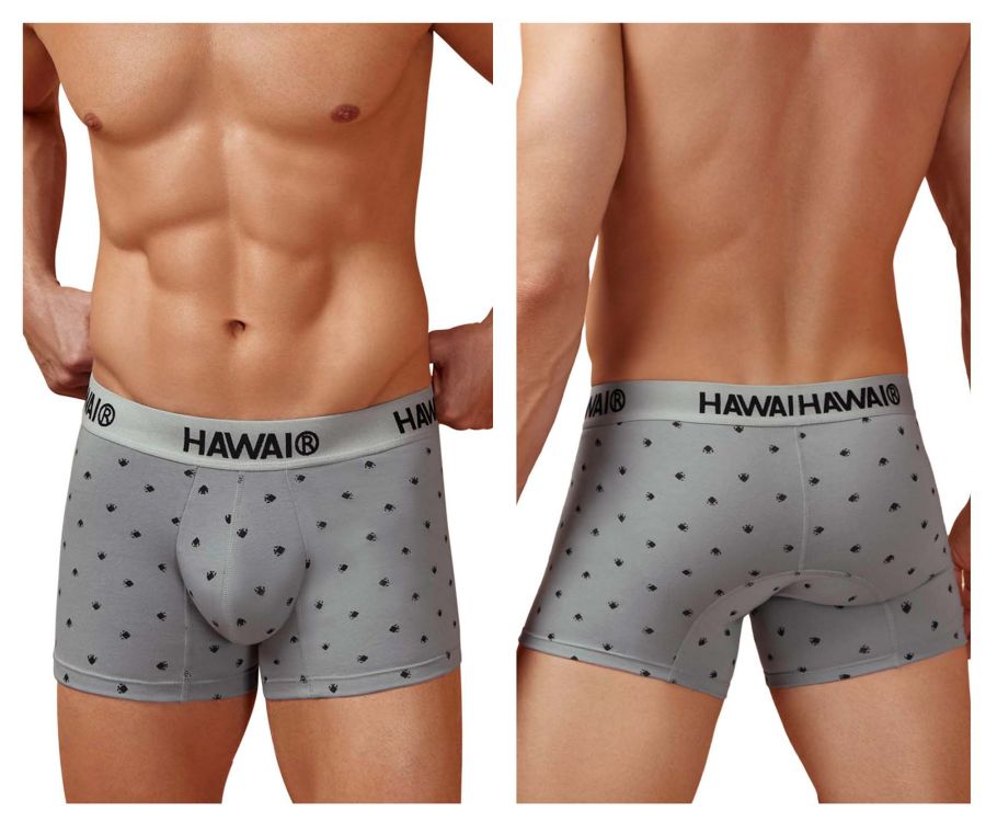 HAWAIR Cotton blend Micro-Print Trunks - Gray