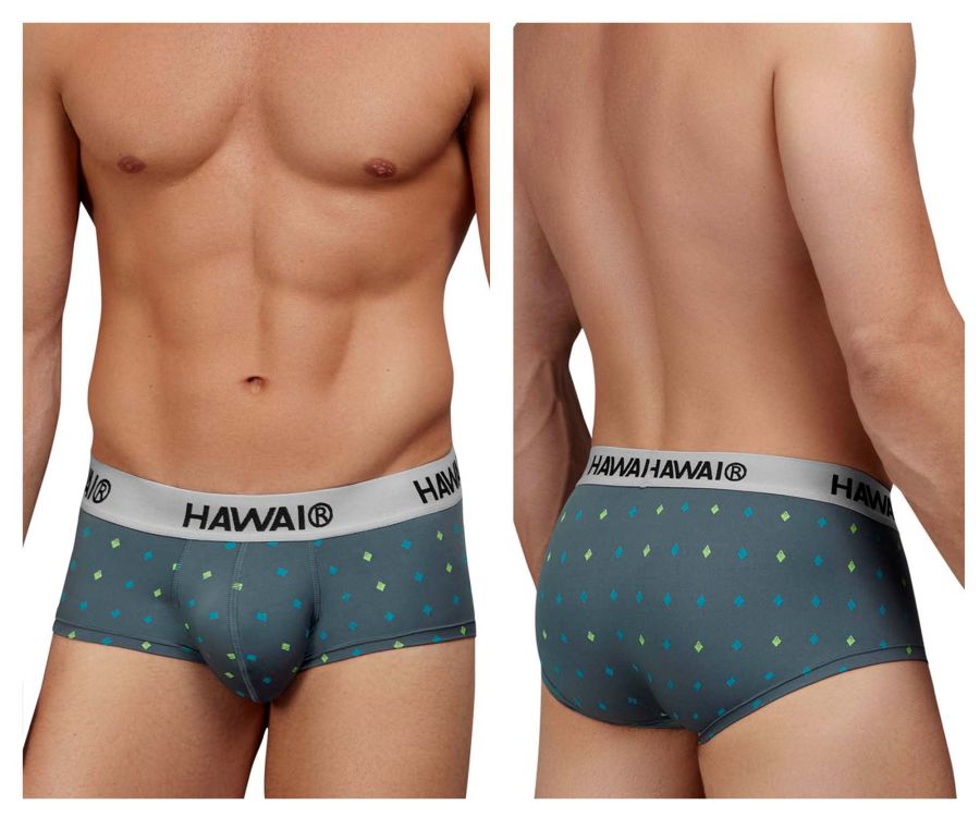 HAWAIR Microfiber Briefs - Gray