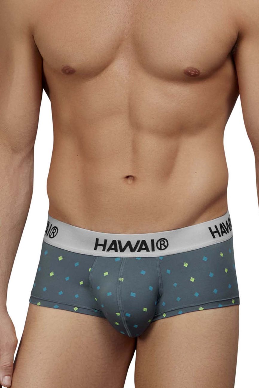 HAWAIR Microfiber Briefs - Gray