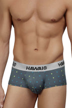 HAWAIR Microfiber Briefs - Gray