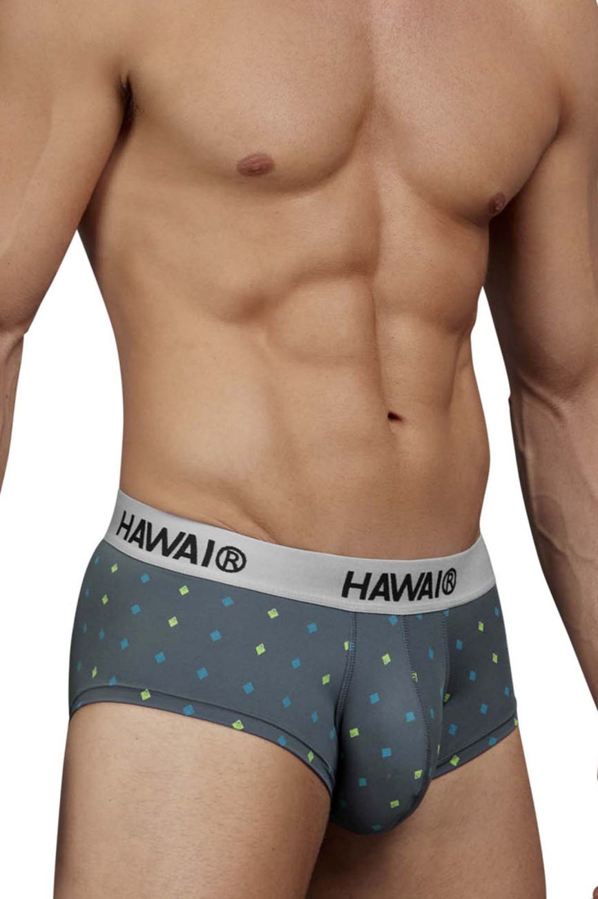 HAWAIR Microfiber Briefs - Gray