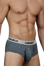 HAWAIR Microfiber Briefs - Gray