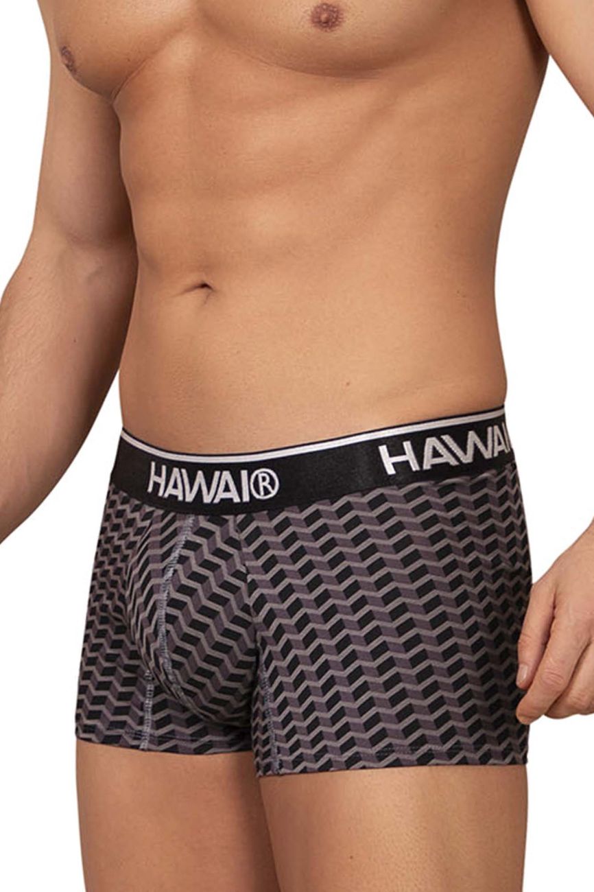 HAWAIR Printed Trunks - Gray