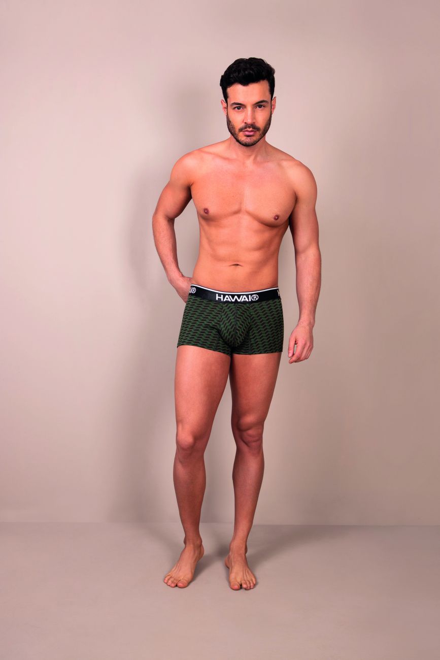 HAWAIR Printed Full Coverage Trunks - Green