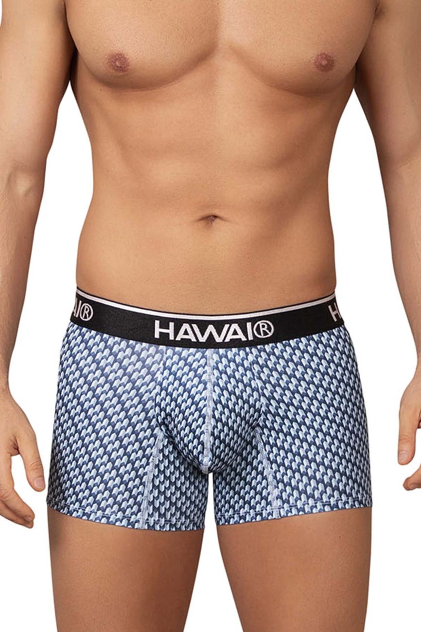 HAWAIR Printed Center-Seam Trunks - Blue