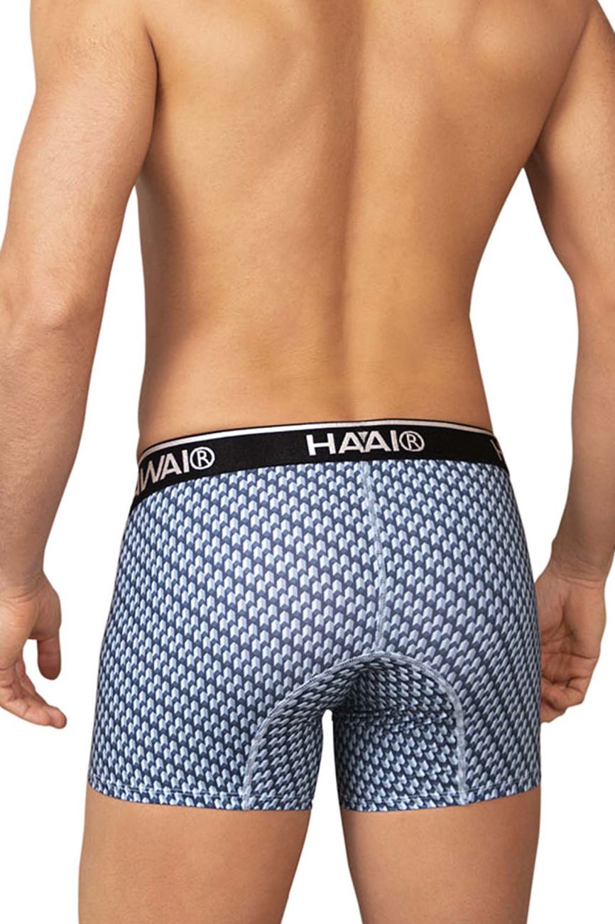 HAWAIR Printed Center-Seam Trunks - Blue