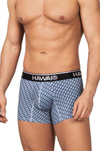 HAWAIR Printed Center-Seam Trunks - Blue