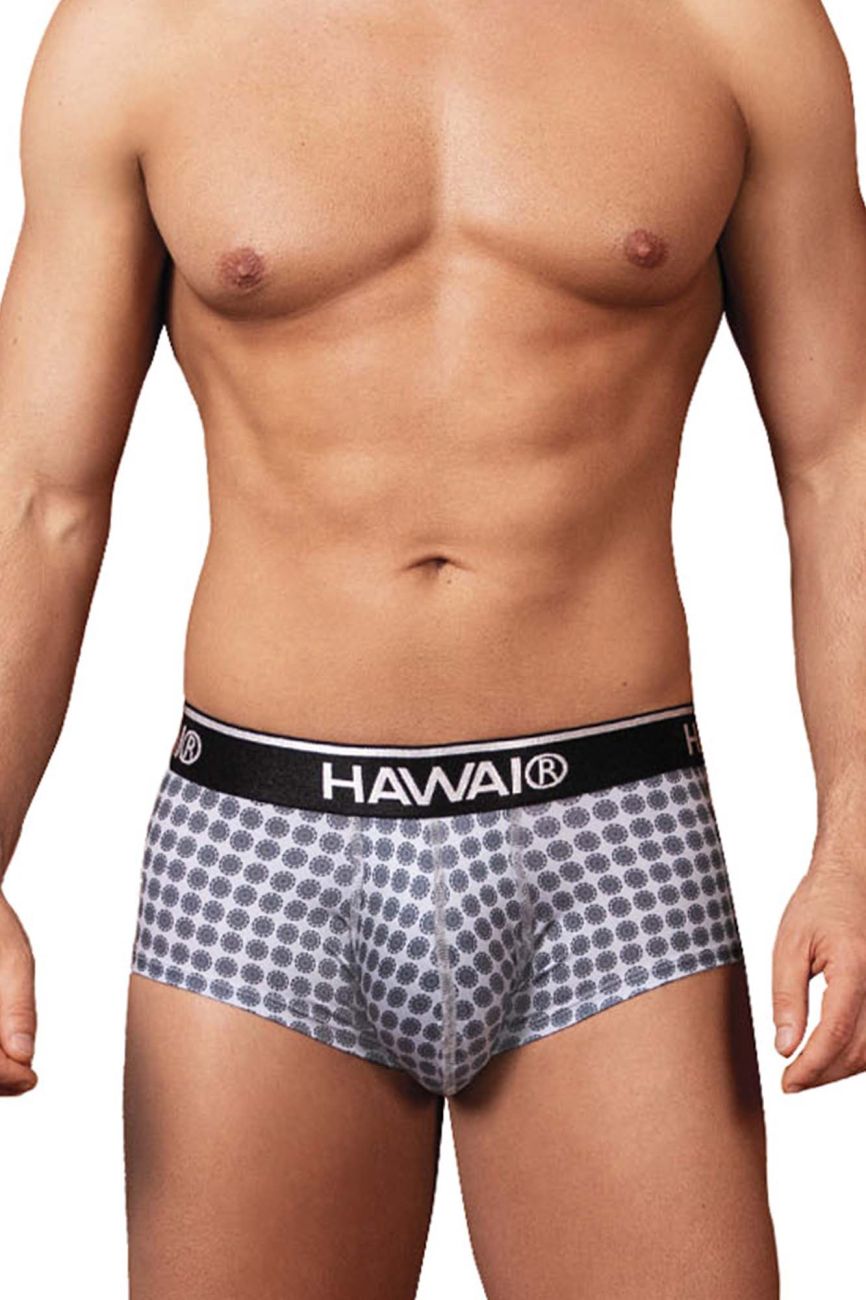 HAWAIR Printed Briefs - Gray