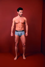 HAWAIR Printed Briefs - Gray