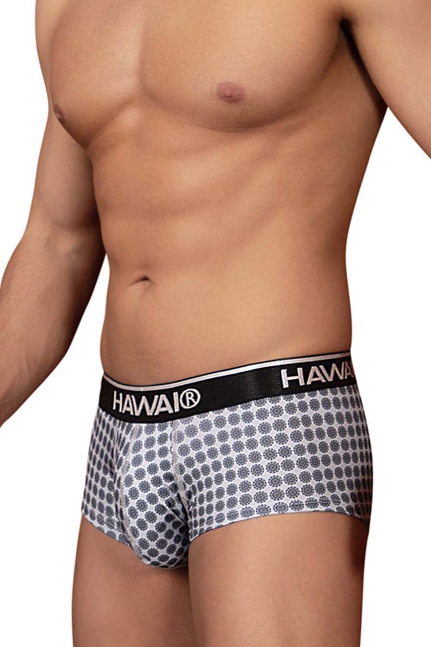 HAWAIR Printed Briefs - Gray