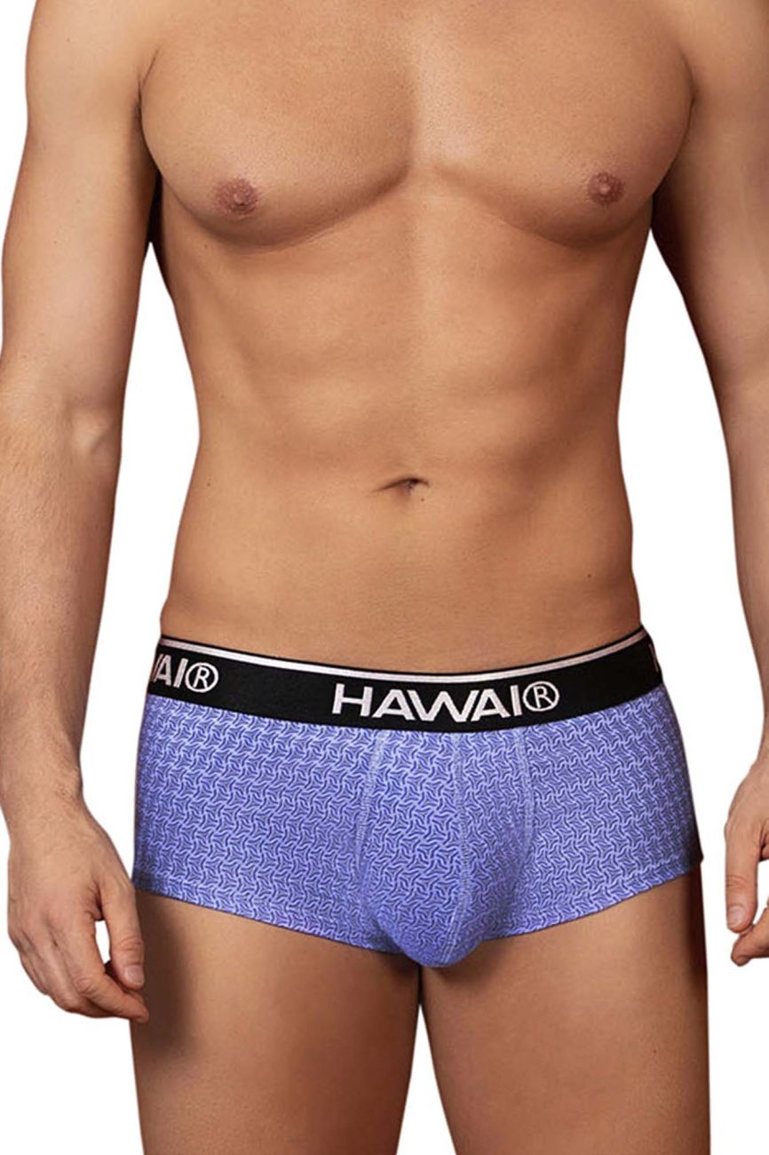 HAWAIR Printed Briefs - Blue