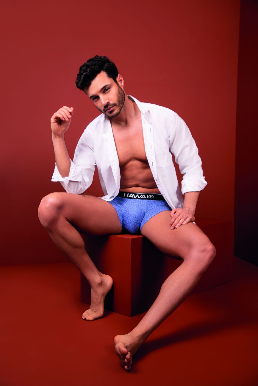 HAWAIR Printed Briefs - Blue