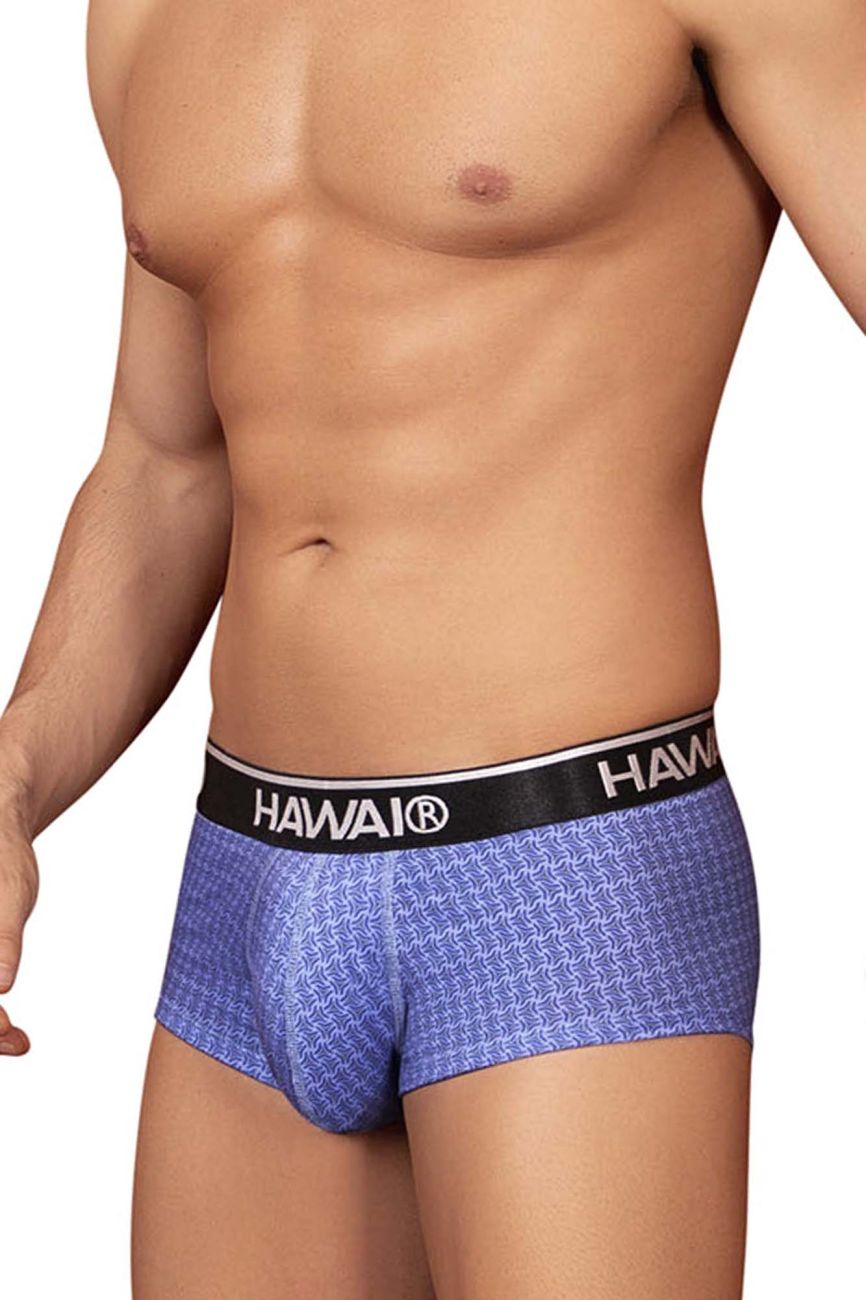 HAWAIR Printed Briefs - Blue