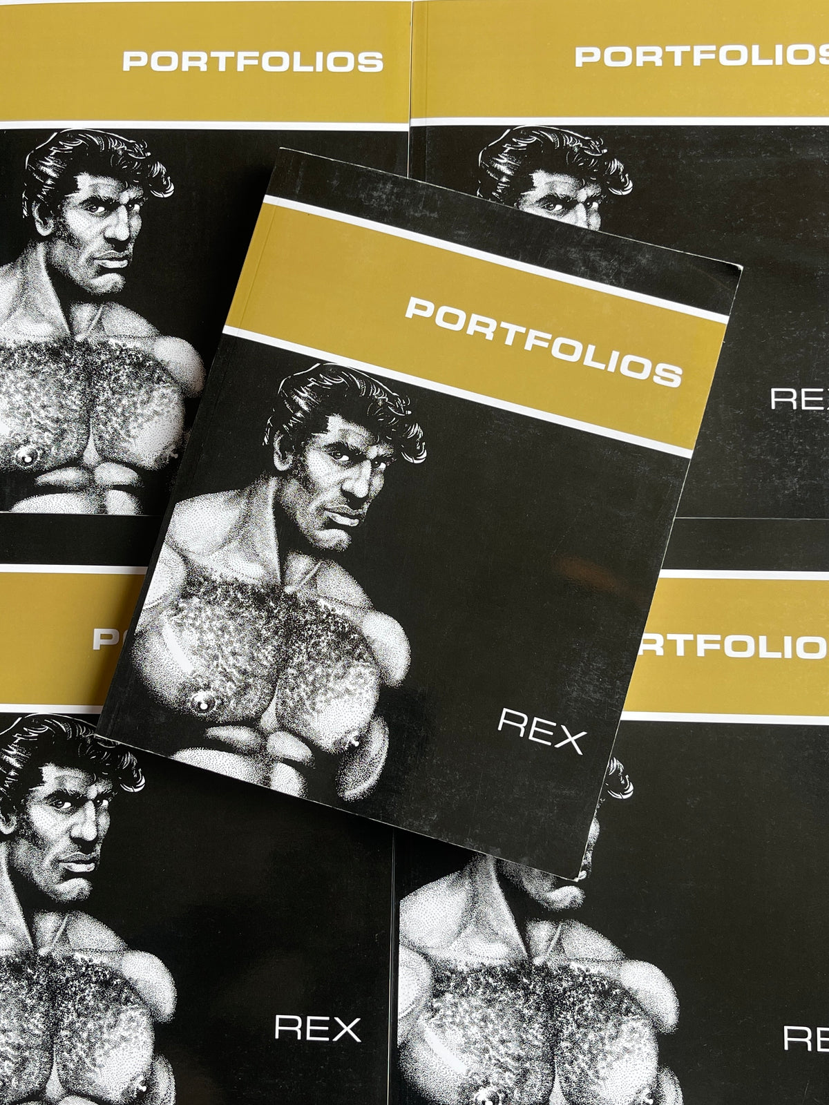 Portfolios by Rex