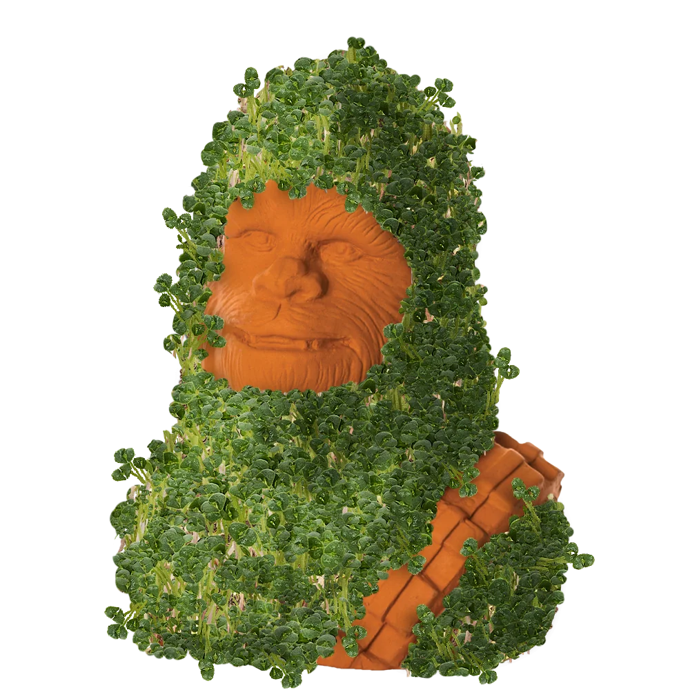 CHEWBACCA CHIA PET