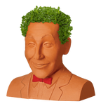 PEE-WEE HERMAN CHIA PET