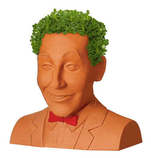 PEE-WEE HERMAN CHIA PET