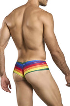 Justin + Simon Cheek Briefs - Pride Flag