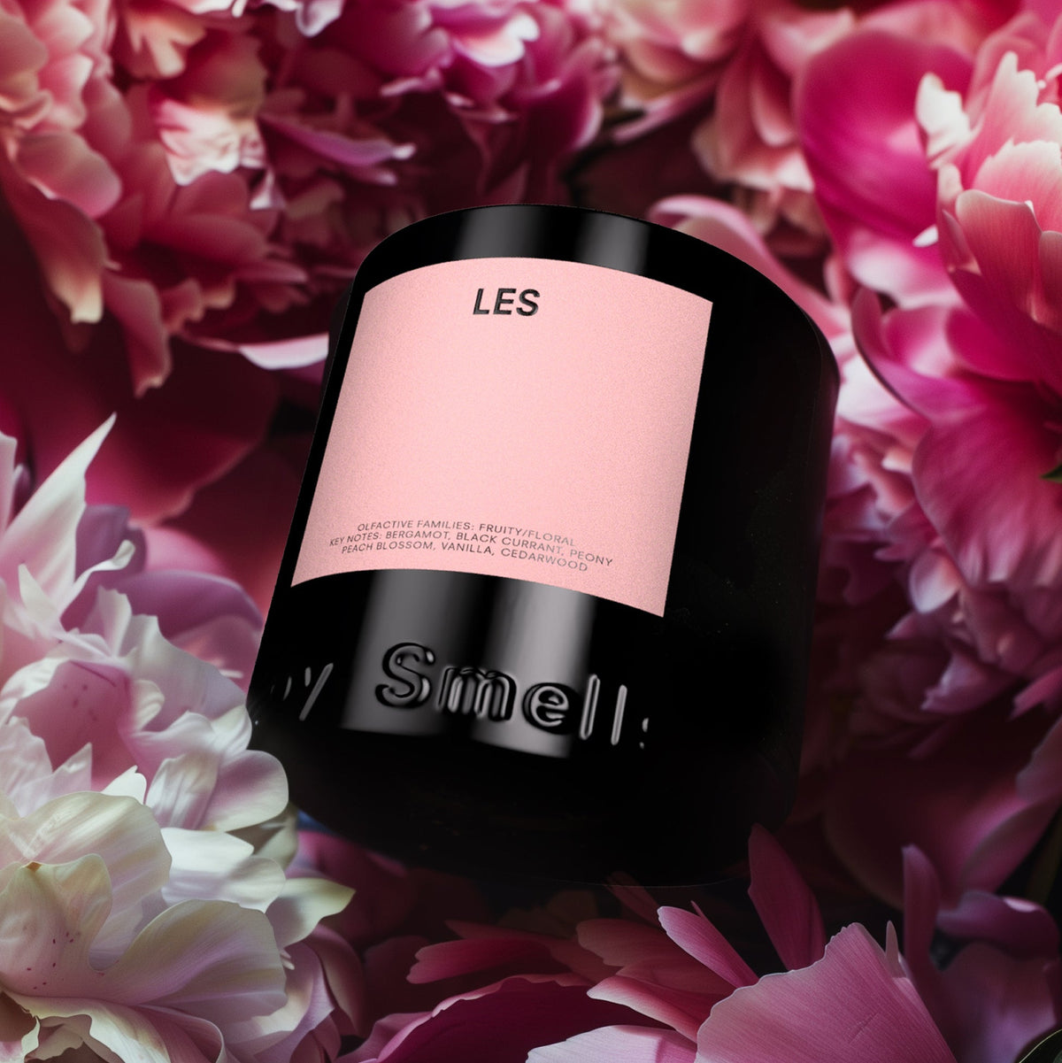LES by BOY SMELLS