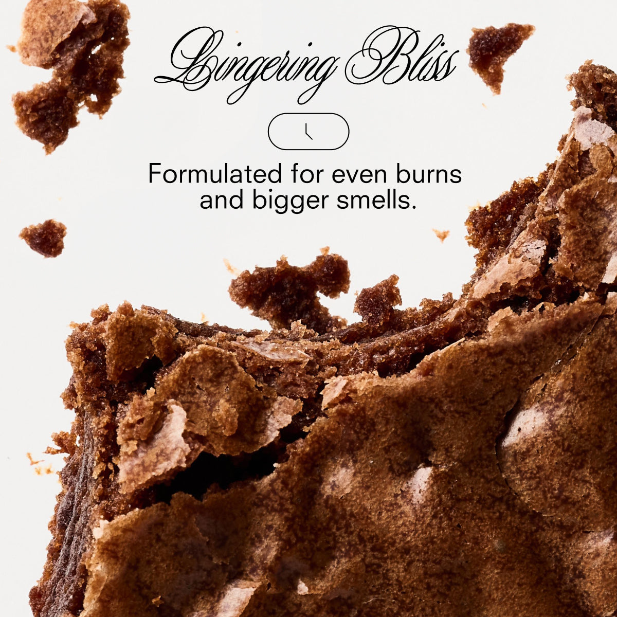 SPECIAL BROWNIE Holiday Candle by BOY SMELLS