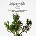 XXMAS TREE Holiday Candle by BOY SMELLS