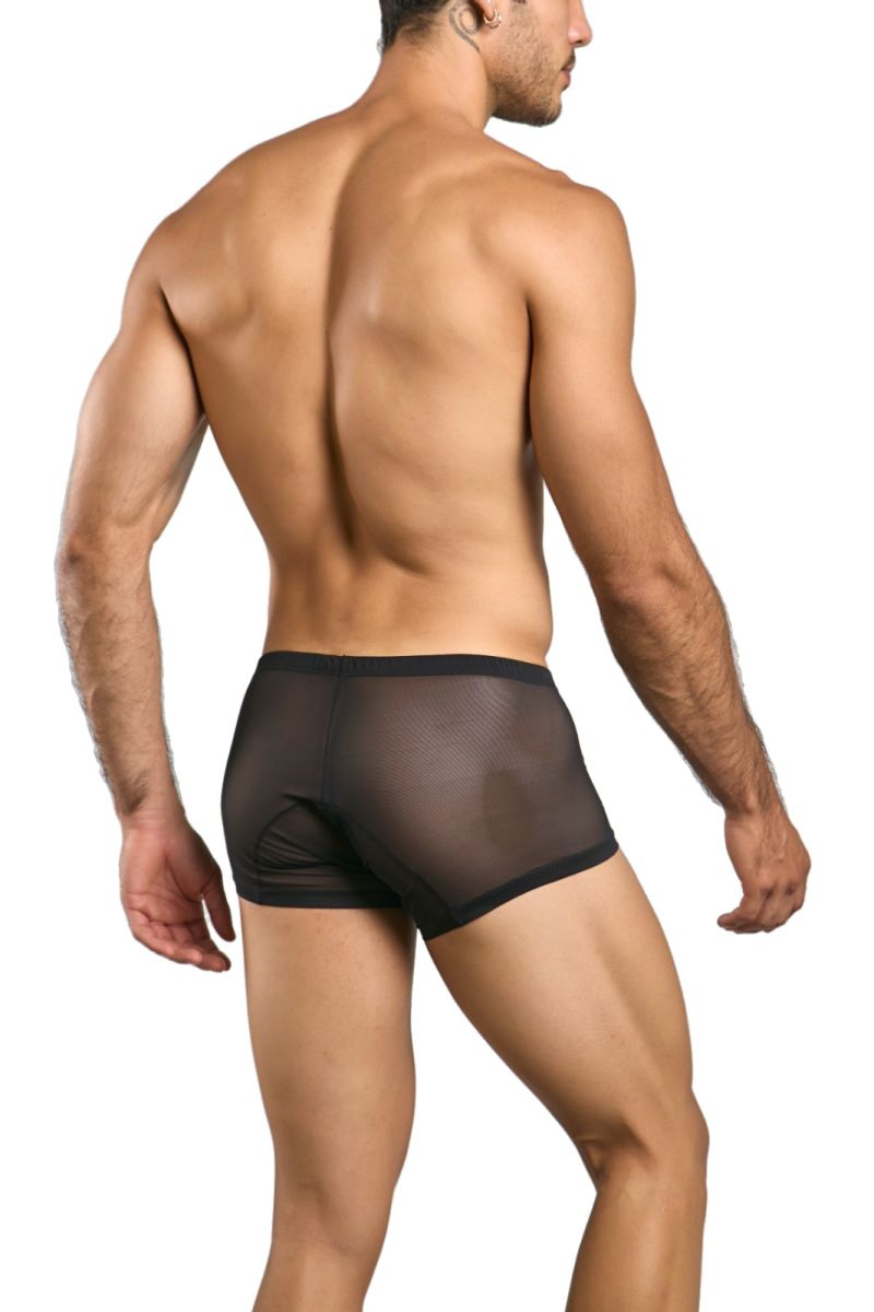 Malebasics Lace Trunks - Black Mesh