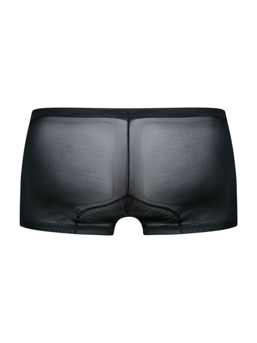 Malebasics Lace Trunks - Black Mesh