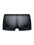 Malebasics Lace Trunks - Black Mesh