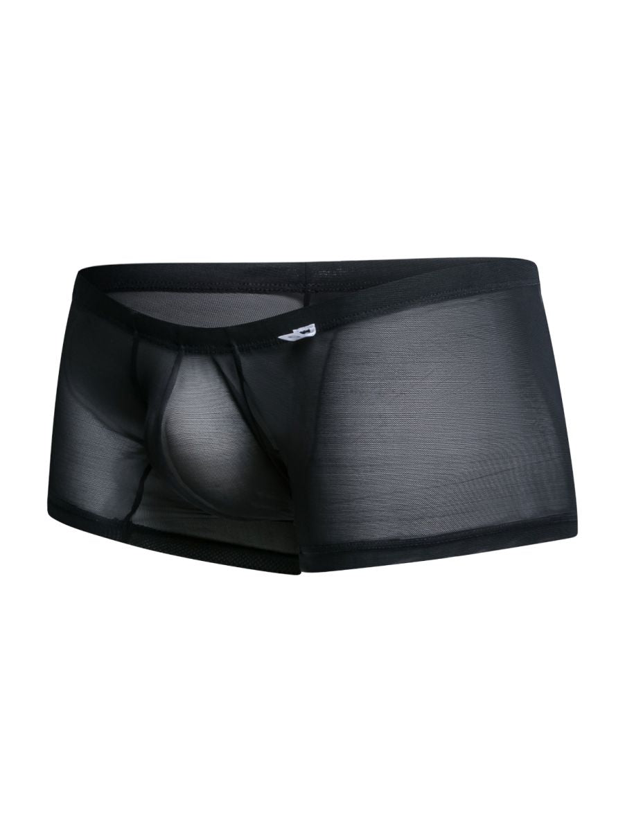 Malebasics Lace Trunks - Black Mesh