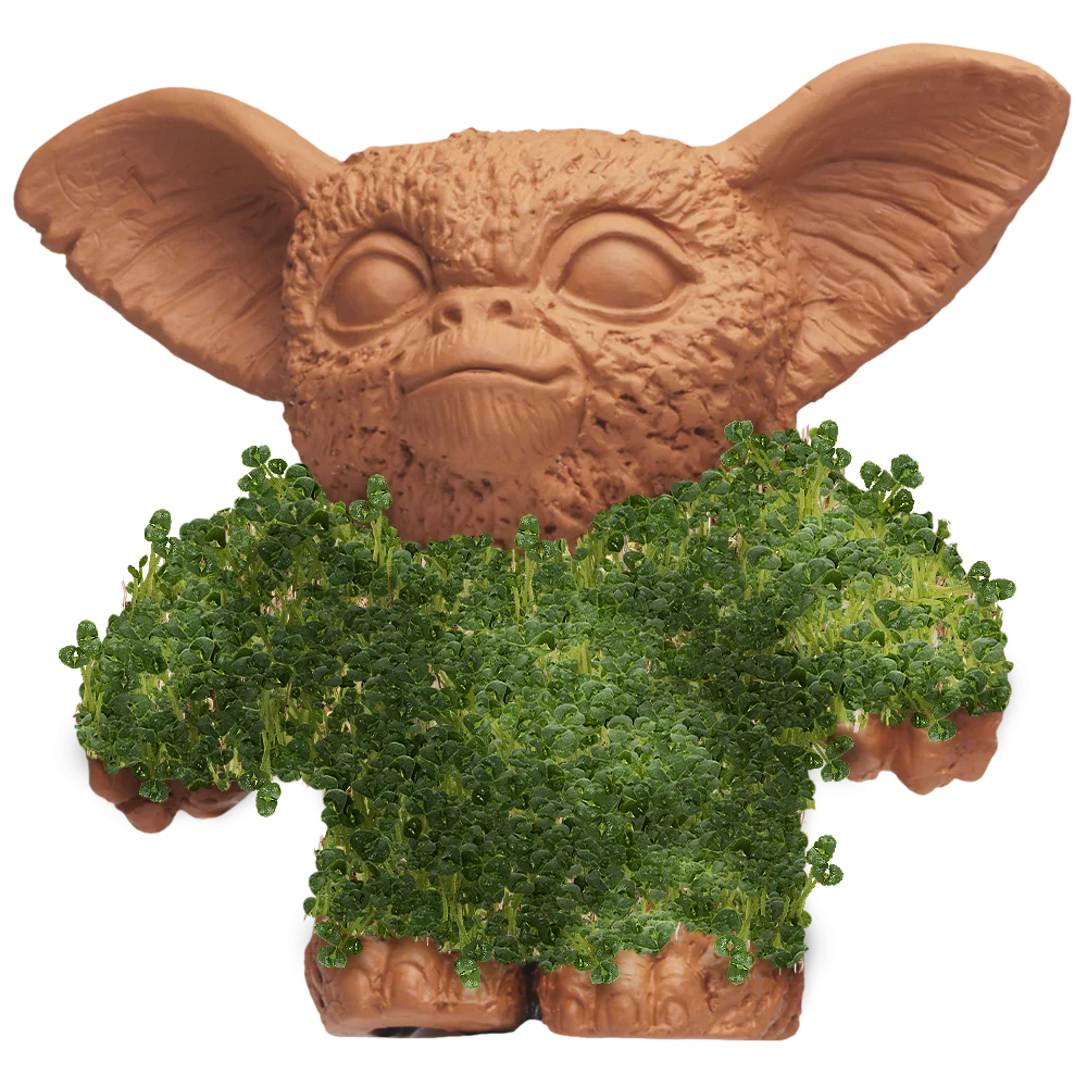 GIZMO CHIA PET