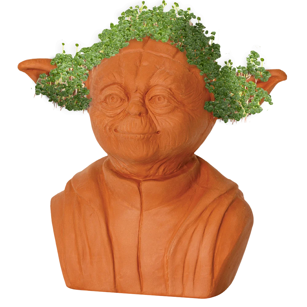 STAR WARS™ YODA CHIA PET
