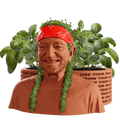 WILLIE NELSON CHIA PET HERB PLANTER