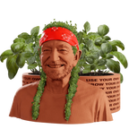 WILLIE NELSON CHIA PET HERB PLANTER