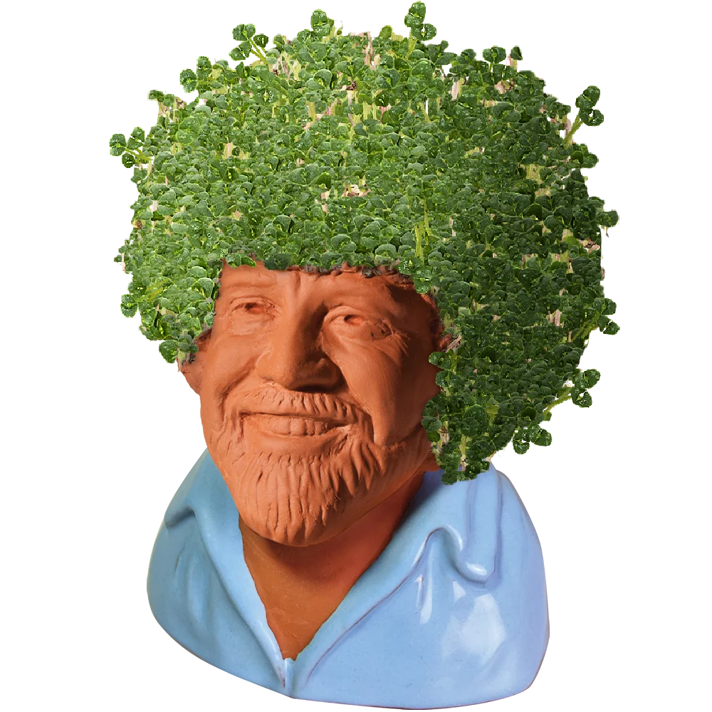 BOB ROSS CHIA PET (BLUE SHIRT)