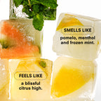CITRUSH SNIFFER by boy smells