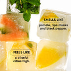 CITRUSH Travel Fragrance by Boy Smells