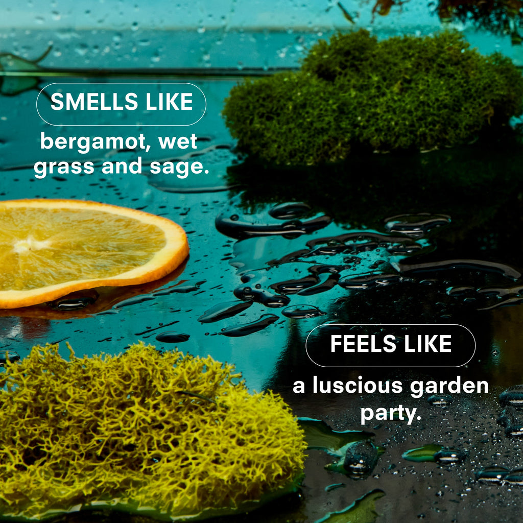 HERBACEOUS by BOY SMELLS