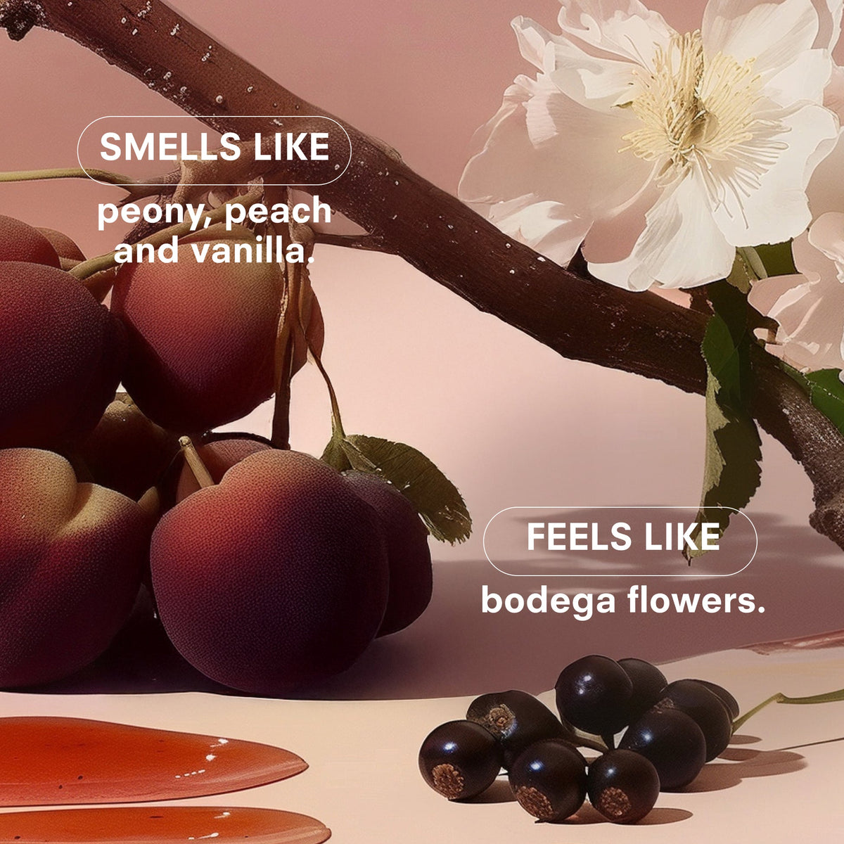 LES by BOY SMELLS
