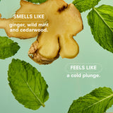 MINTY by BOY SMELLS