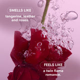 ESSENTIALS VOTIVE QUAD GIFT SET