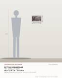 Peter J Robinson Jr, The light touch, 2026