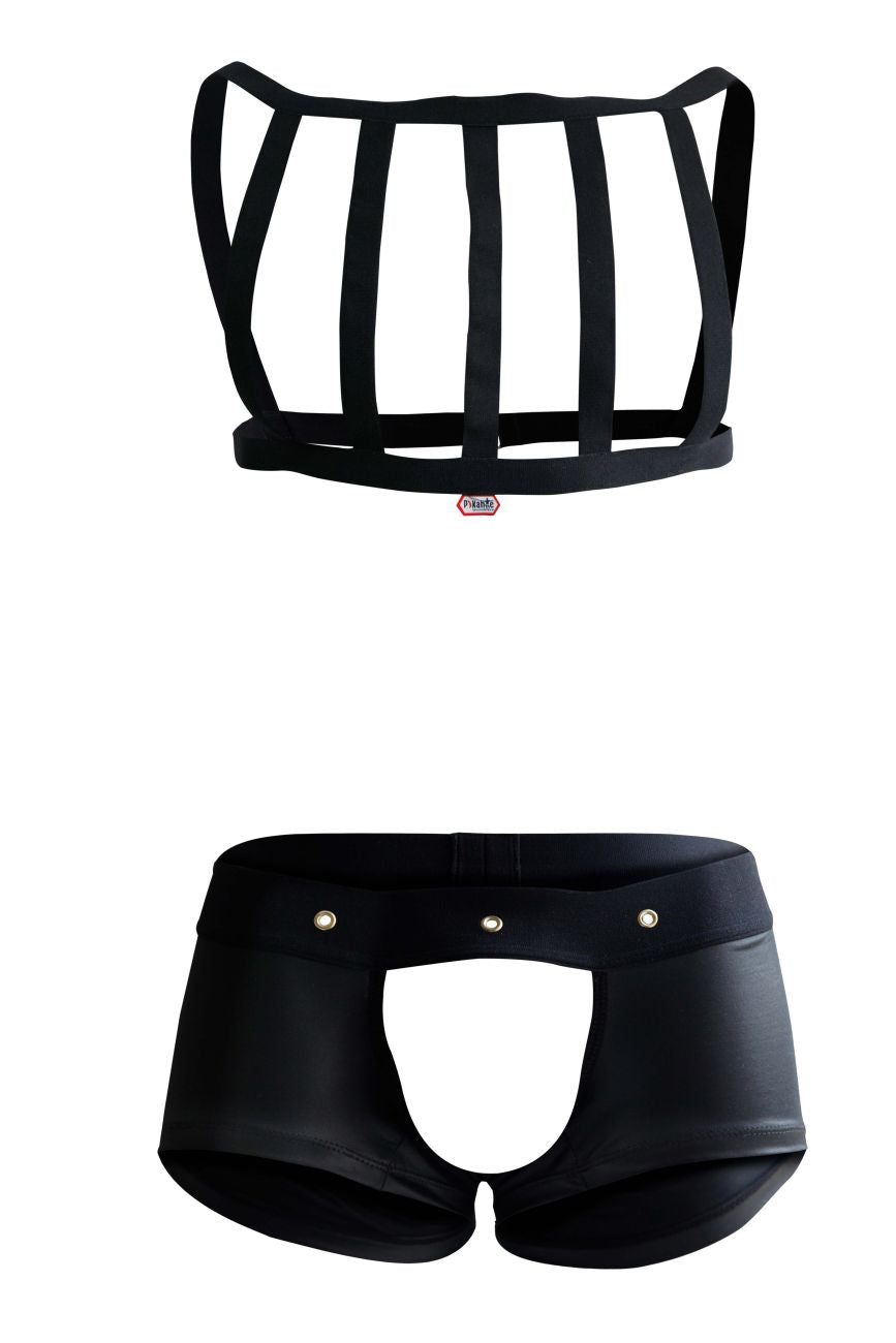 Pikante Hard Harness Jockstrap - Black
