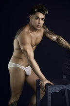 Pikante Luxury Briefs - Beige Mesh