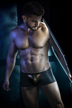 Pikante Gold Cup Trunks - Black