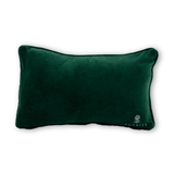 Pumpkin To Talk About Needlepoint Pillow