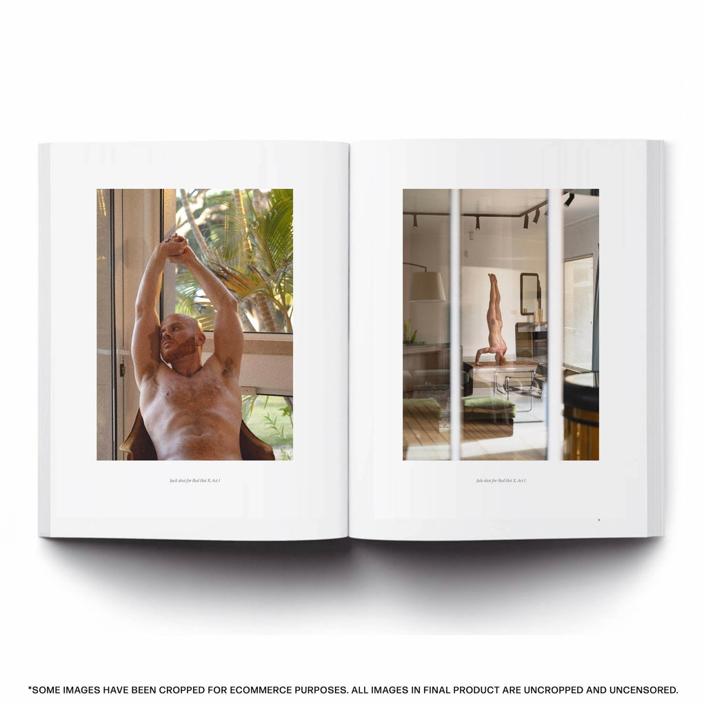 Red Hot X Art Book
