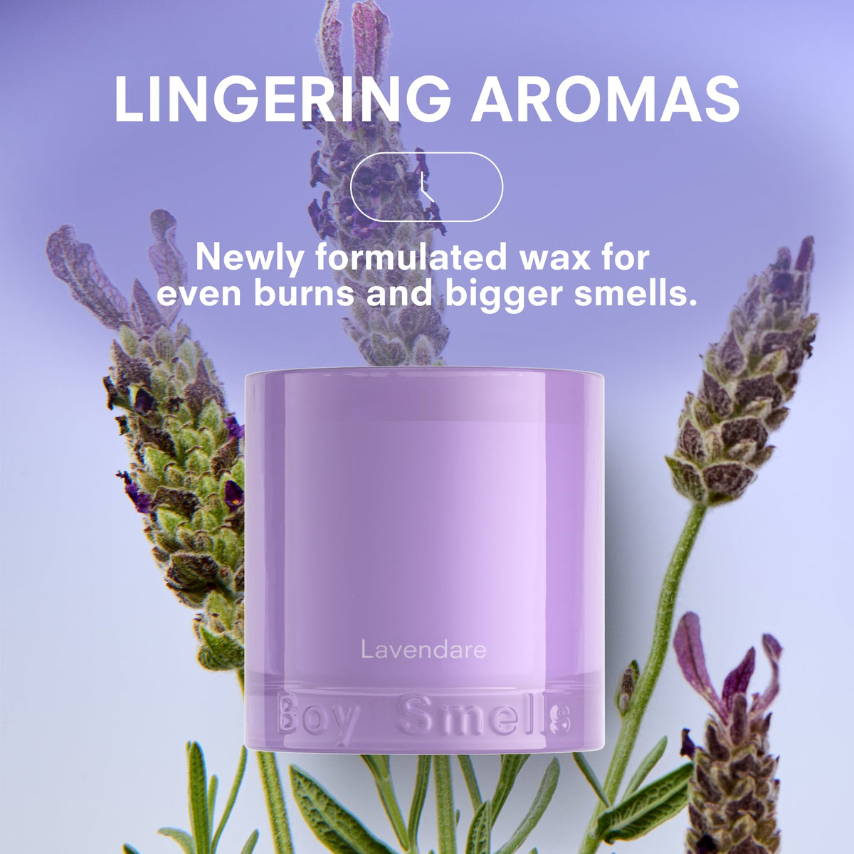 LAVENDARE by BOY SMELLS
