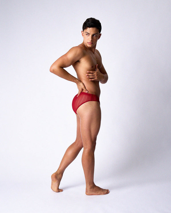 TEAMM8 Romeo Sheer Bikini Brief - Cherry