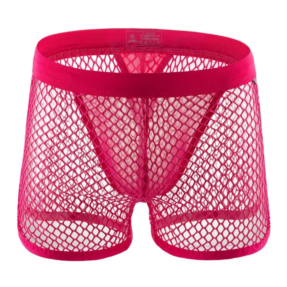 100% See-through Mesh Trunks